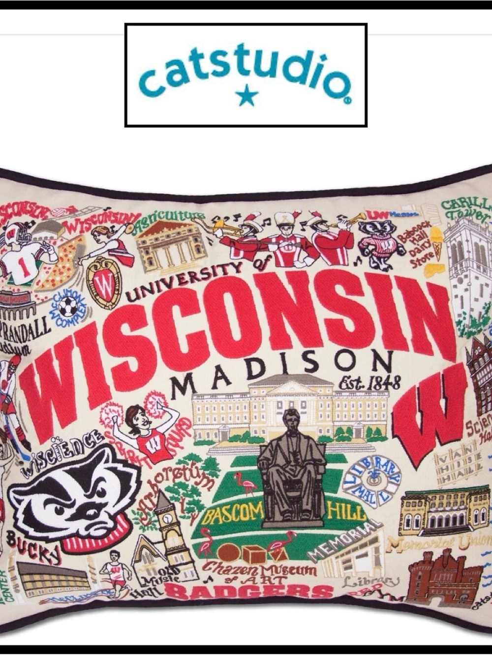 University of Wisconsin Embroidered Pillow